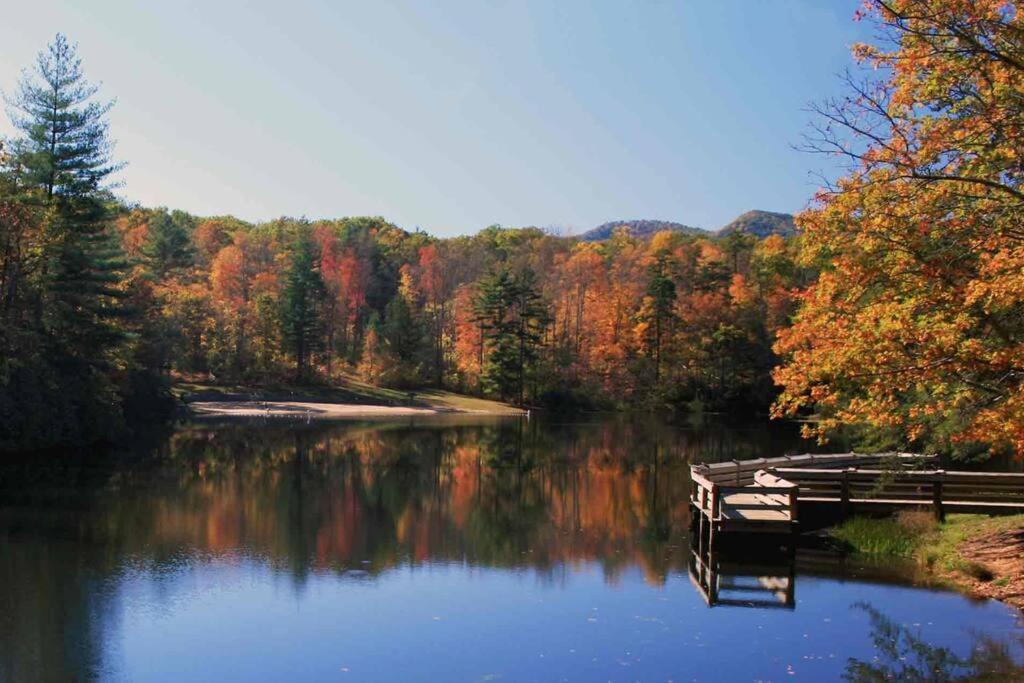 Bluebirds Nest 10 Min To Avl Biltmore Hot Tub Cont Bkfst Sparkling Water Asheville Exterior photo